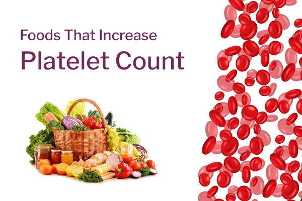 foods to increase platelet count