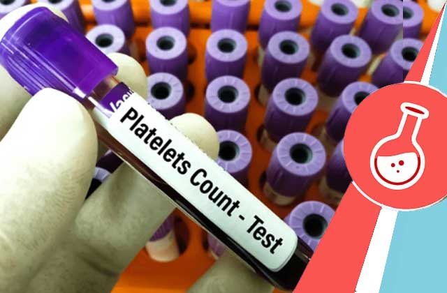 plt blood test